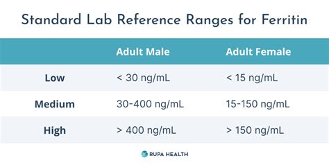 s-ferrit|Ferritin Test: What It Is, Purpose, Procedure & Results